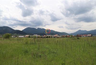 Teren Construcții intravilan de 13100 mp, în Central - 8