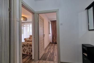 Sos. Viilor - Parc Carol - Apartament 2 camere - renovat - mobilat utilat modern - 13