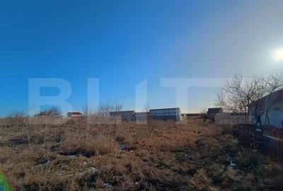 Teren intravilan 2500mp, Malu Mare! - 1