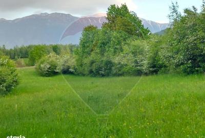 Teren de 4223 mp, în Bran - 19