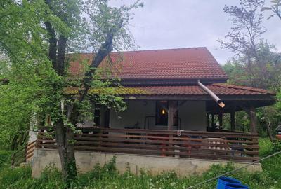 Casă cu 4 camere cu Teren 6000 Mp în Bezdead - 6