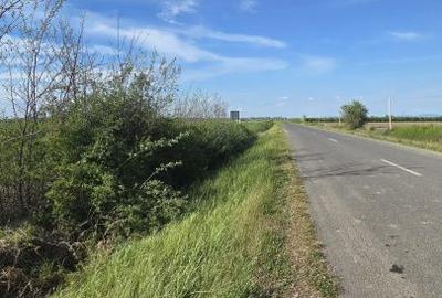 Teren de 500 mp, în Păulești - 6