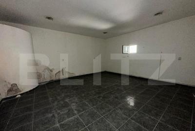 Spatiu comercial, 293 mp/129 mp, zona ultracentrala cu Vad - 6