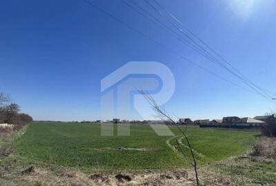 Teren de 1433 mp, în Gruiu - 4