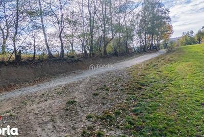 Teren de 37723 mp, în Bran - 1