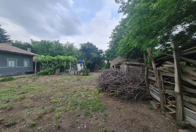 Casa, Dor Marunt, Calarasi - 1