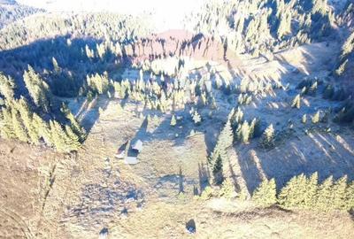 Teren 31,461mp Panaci / Prelungirea Ialovita - 26