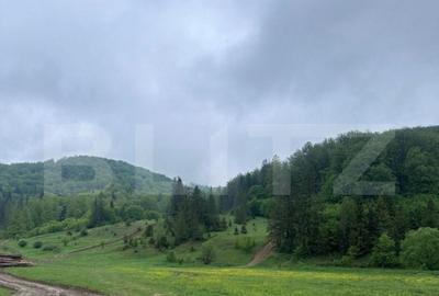 Teren intravilan 20.000 mp, zona Soarecului, Marginea - 1