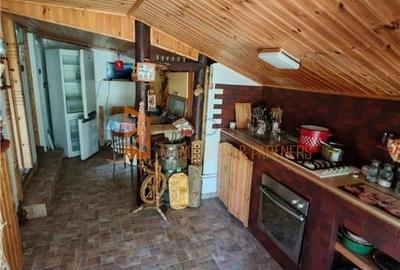 Teren intravilan + casa zona Fintesti - 23