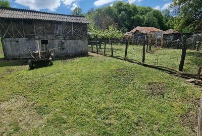 Casă individuală cu 5 camere cu Teren 15000 Mp în Dosu Râului - 9