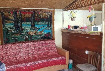 Casă cu 3 camere cu Teren 1400 Mp în Șicula - 3