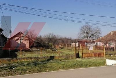 Peciu Nou - Teren Intravilan - 2500 mp - Utilitati - 4