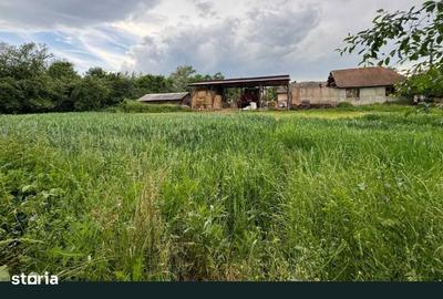 Casă cu 3 camere cu Teren 2150 Mp în Someș-Odorhei - 5
