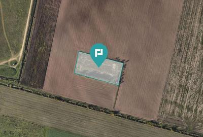 Oportunitate Unica de Investi?ie! - 3