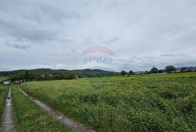 Teren 1,495mp Dobreni / Strada Parau Almas - 10