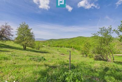 Casă cu 3 camere cu Teren 2000 Mp în Central - 9