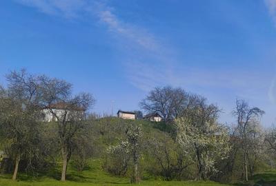 Casă cu 3 camere în Exterior Vest - 7