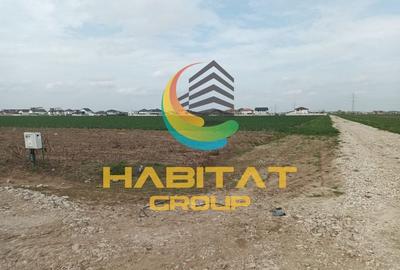 Teren 552 mp | Utilitati la Lot | Rate fara Dobanda | Vidra - 6