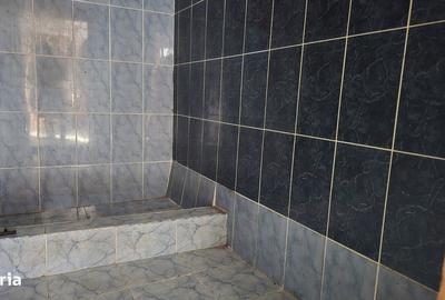 Casă cu 2 camere cu Teren 1585 Mp în Brănișca - 2