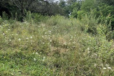 VAND TEREN PENTRU CONSTRUCTII, COM.CETATENI - ARGES - 7