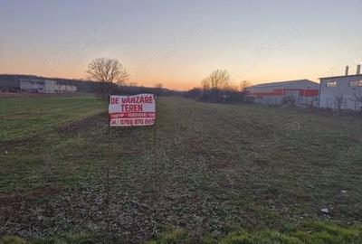 Teren de 3940 mp, în Jilava
