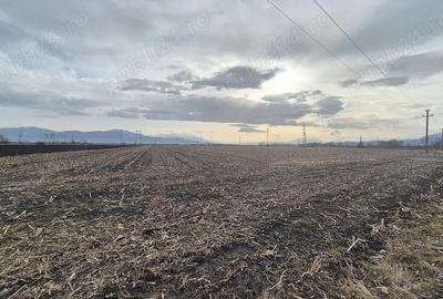 Teren de 45770 mp, în Stupini - 3