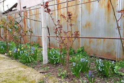 Casă cu 3 camere în Poienarii Burchii - 10