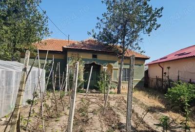 Casă cu 5 camere cu Teren 3937 Mp în Ianca - 14