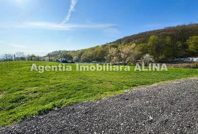 Teren intravilan 6.516 mp in Deva, prelungire str. Vulcan, spre Almas, Jud. Hunedoara. - 12