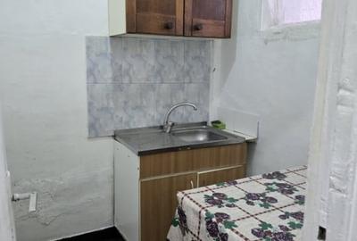 Garsoniera Savinesti spatioasa in zona curata - 6