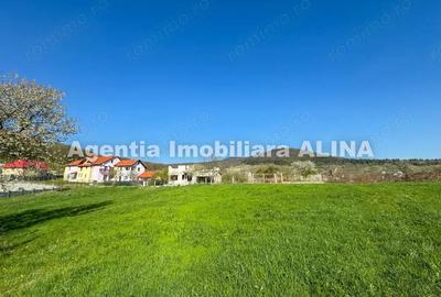 Teren intravilan 6.516 mp in Deva, prelungire str. Vulcan, spre Almas, Jud. Hunedoara. - 12