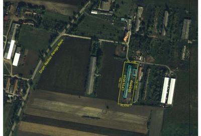 Spațiu industrial, de 735 mp, în Nădlac - 5