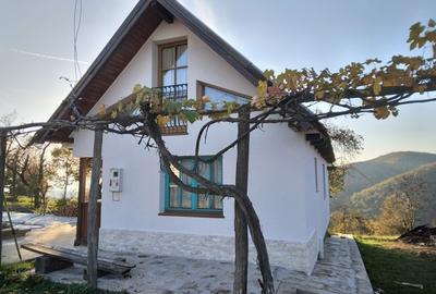 Casă cu 2 camere în Dulcele - 6