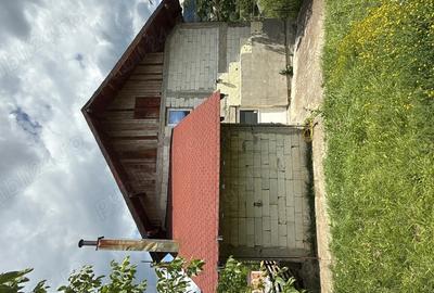 Casă cu 5 camere cu Teren 430 Mp în Valea Doftanei - 3