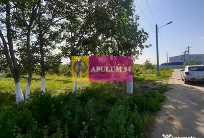 Teren de 5000 mp, în Copăceni - 2