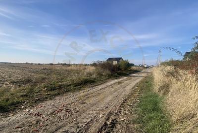 Teren 600 mp intravilan Albota, jud. Arges Teren 600 mp intravilan Albota, jud. Arges - 3