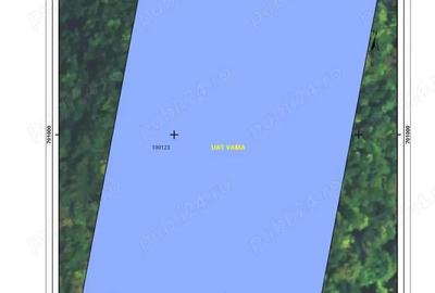 Teren de 10000 mp, în Vama - 8
