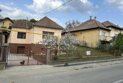 Casă cu 5 camere cu Teren 7000 Mp în Central - 1