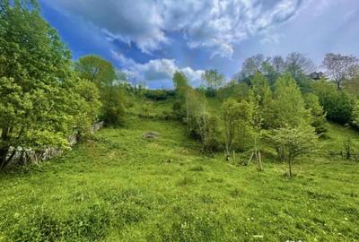 Teren de 839 mp, în Valea Doftanei - 2