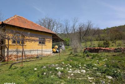 Spațiu comercial, în Milești - 3