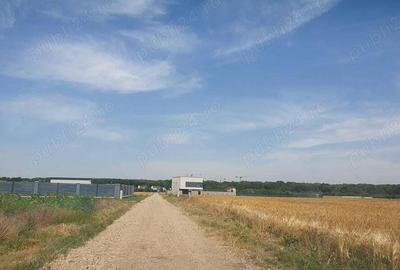 Teren situat in Balotesti,langa padure,acces drum pietruit, 28000 euro - 3