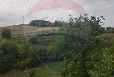 Teren Construcții intravilan de 1500 mp, în Damiș - 19