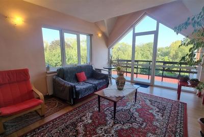 Vila de 8 camere zona centrala Stupini Brasov - 16