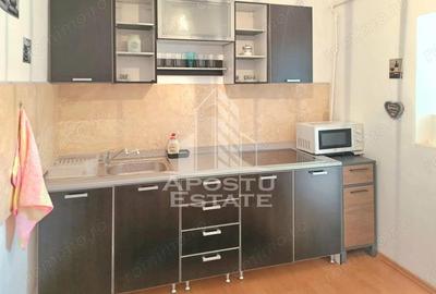Apartament cu 3 camere semidecomandat, mobilat în Micălaca - 8