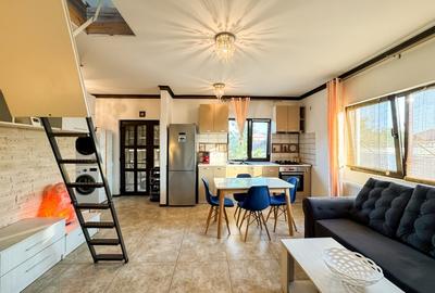 Pantelimon, vila duplex - 9