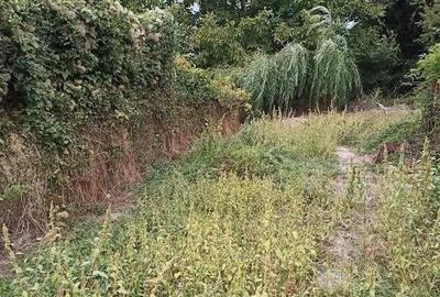 Potigrafu Crivina - 8