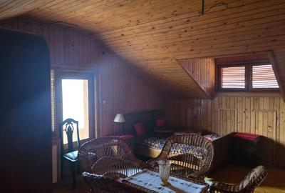 Casă individuală cu 5 camere cu Teren 3052 Mp în Dârvari - 11