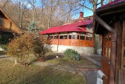 Casă cu 6 camere cu Teren 6500 Mp în Izvoarele - 1