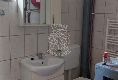 Casă cu 2 camere în Bociu - 11