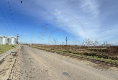 Teren Intravilan Industrial 13.164 mp, Zona Constantin Mille-Carei-Comision 0% - 3